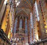 260597479_560311705075303_8467601237613948508_n