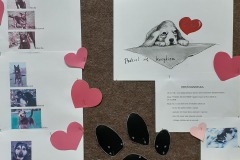 Z działalności szkolnego koła PCK