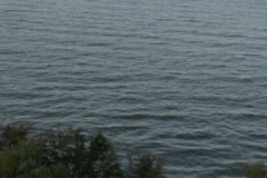 Zielona Szkoła 2011